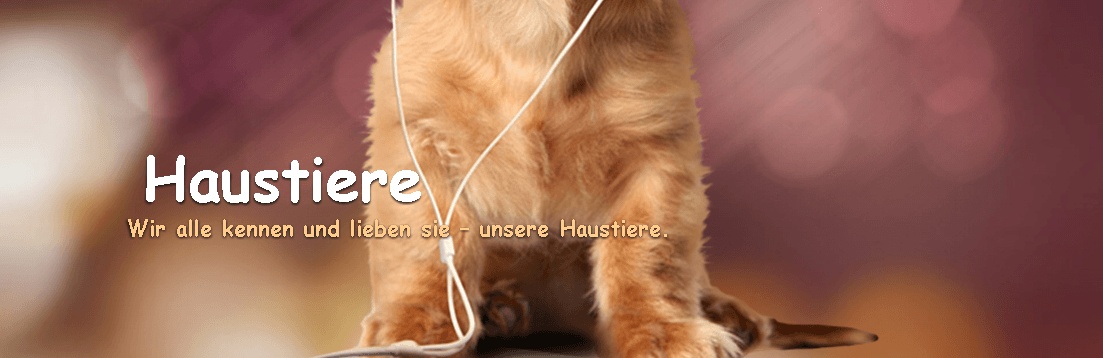 Haustiere